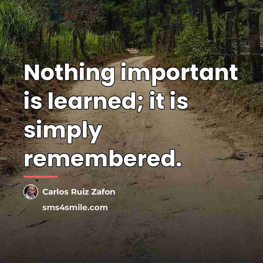 “Nothing important is learned; it is simply remembered.…” quote by Carlos Ruiz Zafon