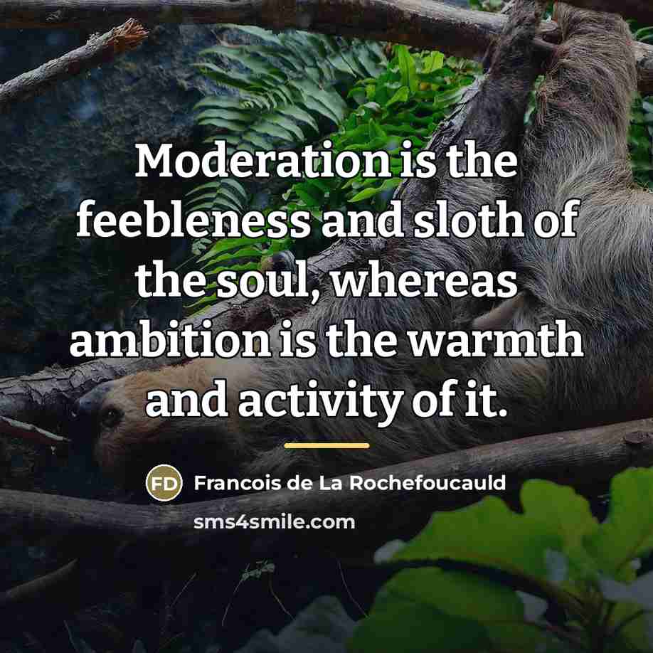 “Moderation is the feebleness and sloth of the soul, whereas…” quote by Francois de La Rochefoucauld