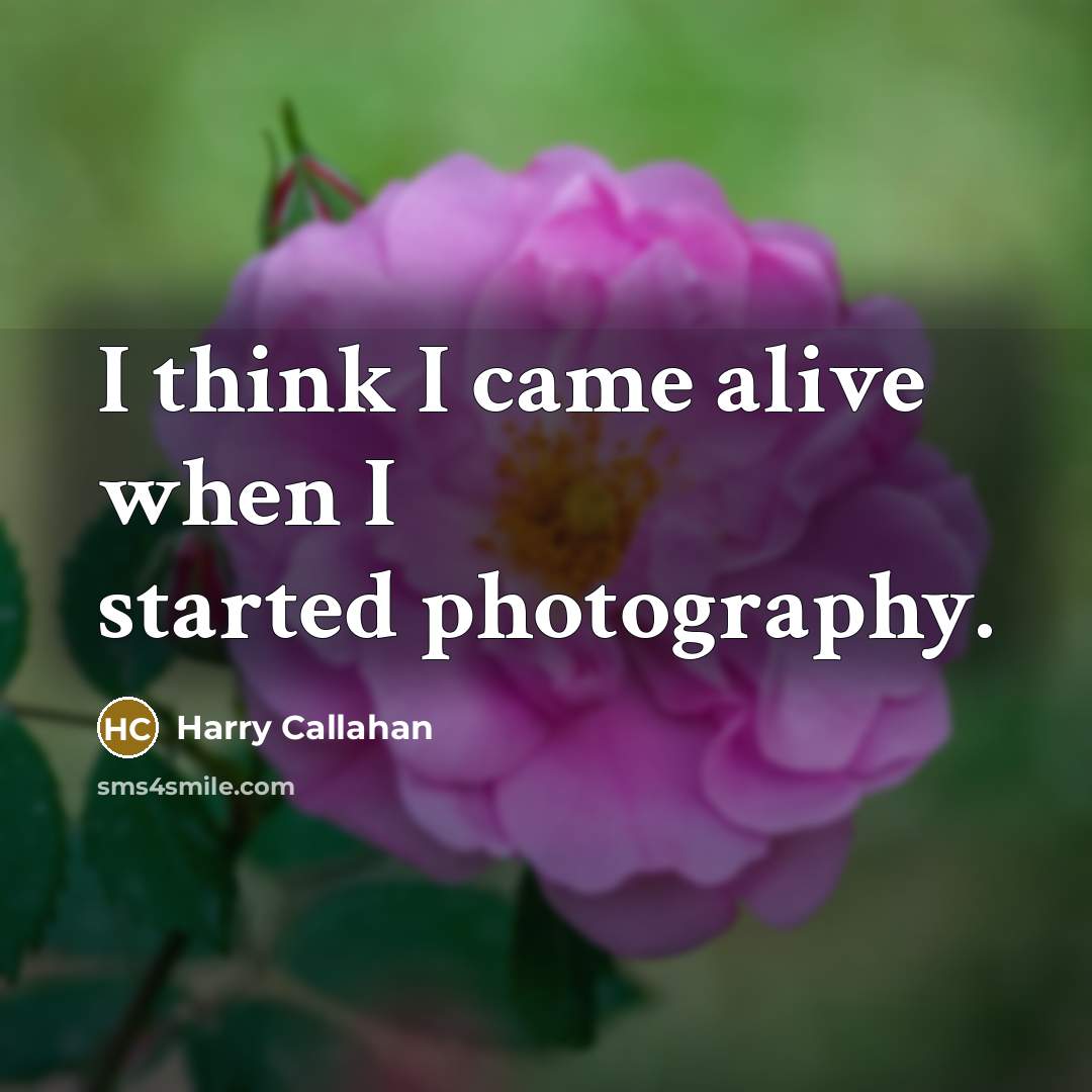 “I think I came alive when I started photography.…” quote by Harry Callahan