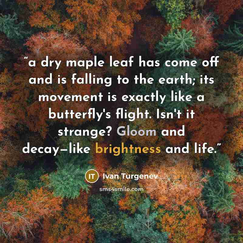 “a dry maple leaf has come off and is falling to the earth; its movement is exactly like a butterfly's flight. Isn't it strange? Gloom and decay—like brightness and life.” quote by Ivan Turgenev