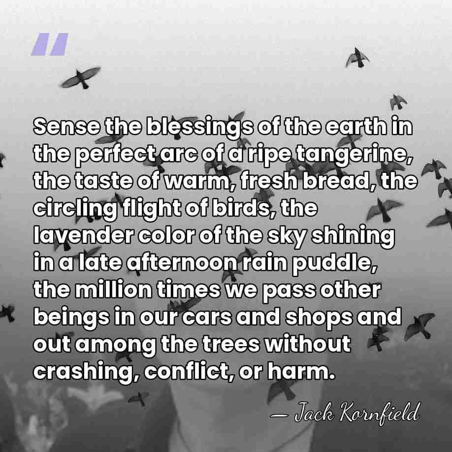 Sense the blessings of the earth in the perfect arc of a&hellip; - Jack Kornfield