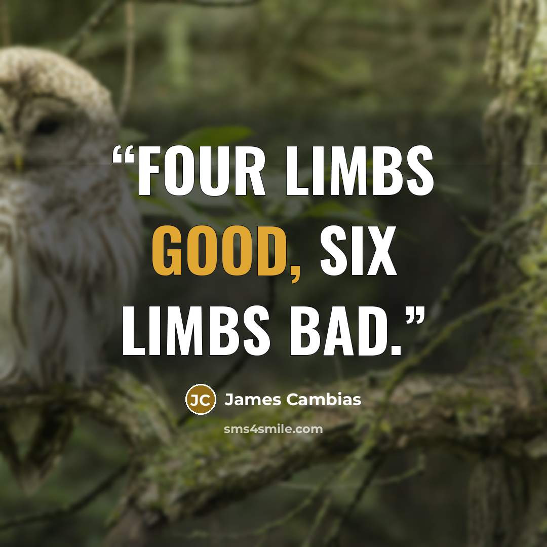 “Four limbs good, six limbs bad.” quote by James Cambias