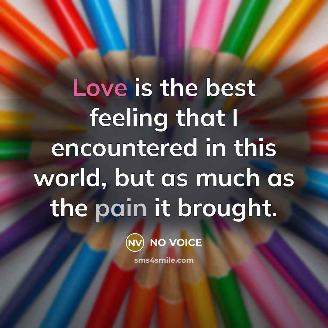 “Love is the best feeling that I encountered in this world, but as much as the pain it brought.” quote by No Voice