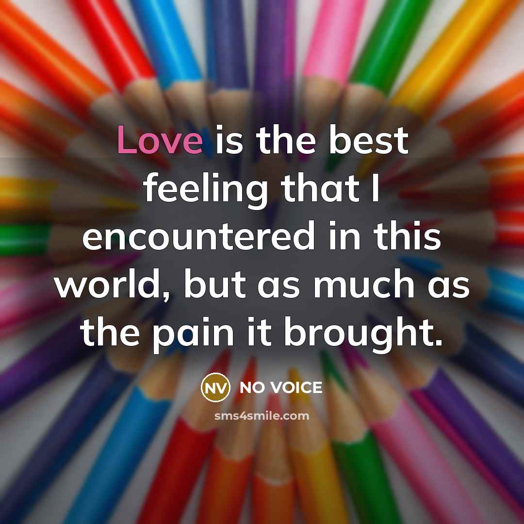 “Love is the best feeling that I encountered in this…” quote by No Voice