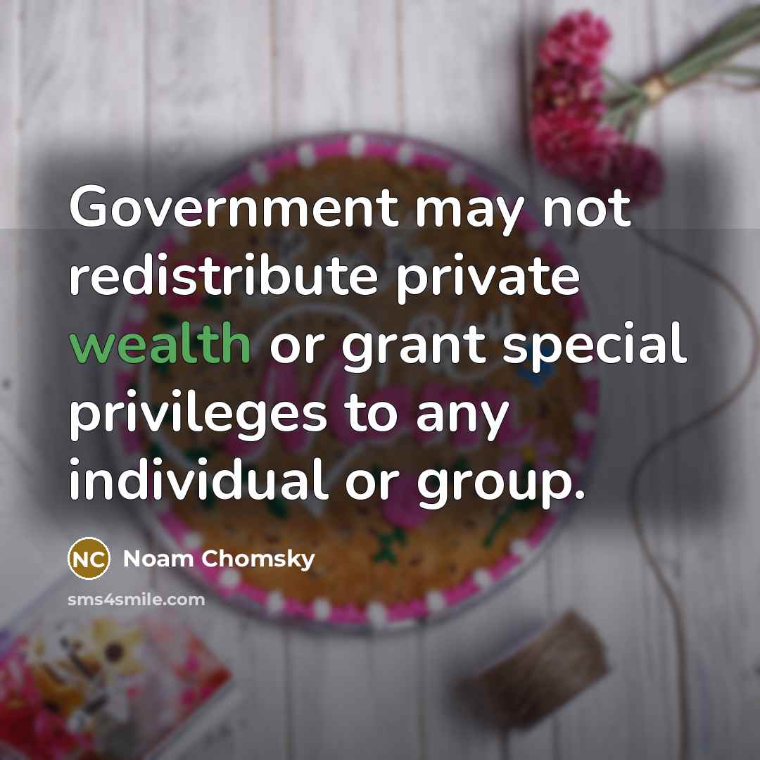 “Government may not redistribute private wealth or grant special privileges…” quote by Noam Chomsky