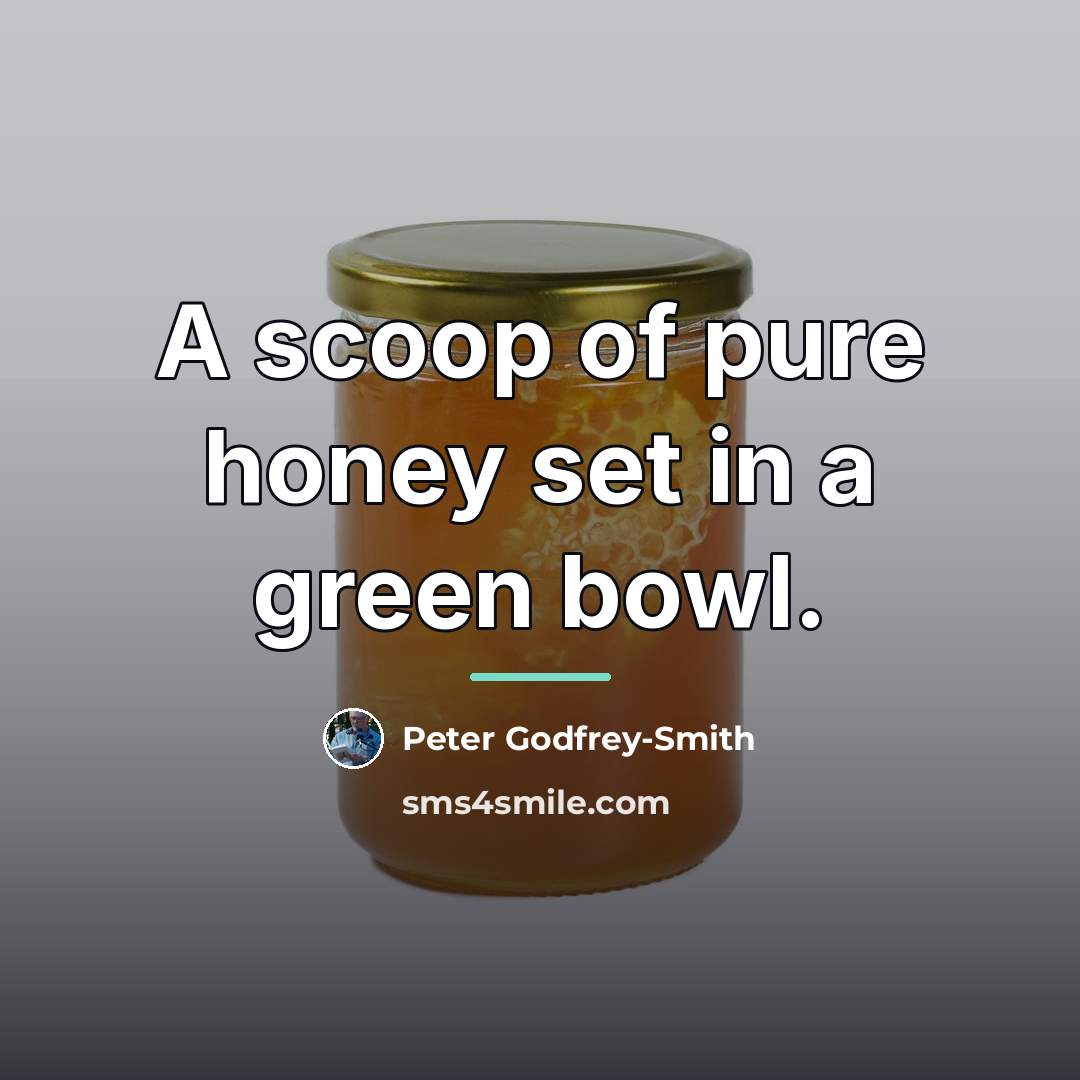 “A scoop of pure honey set in a green bowl.…” quote by Peter Godfrey-Smith
