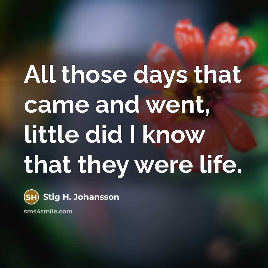 “All those days that came and went, little did I know that they were life.” quote by Stig H. Johansson