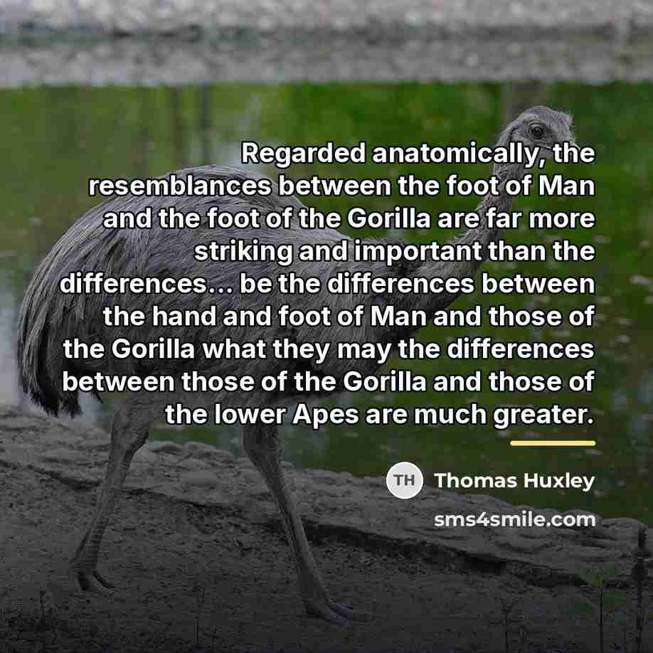 “Regarded anatomically, the resemblances between the foot of Man and…” quote by Thomas Huxley