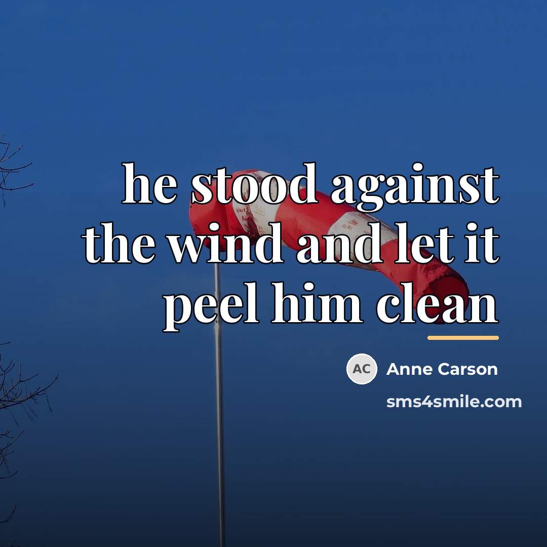 “he stood against the wind and let it peel him…” quote by Anne Carson