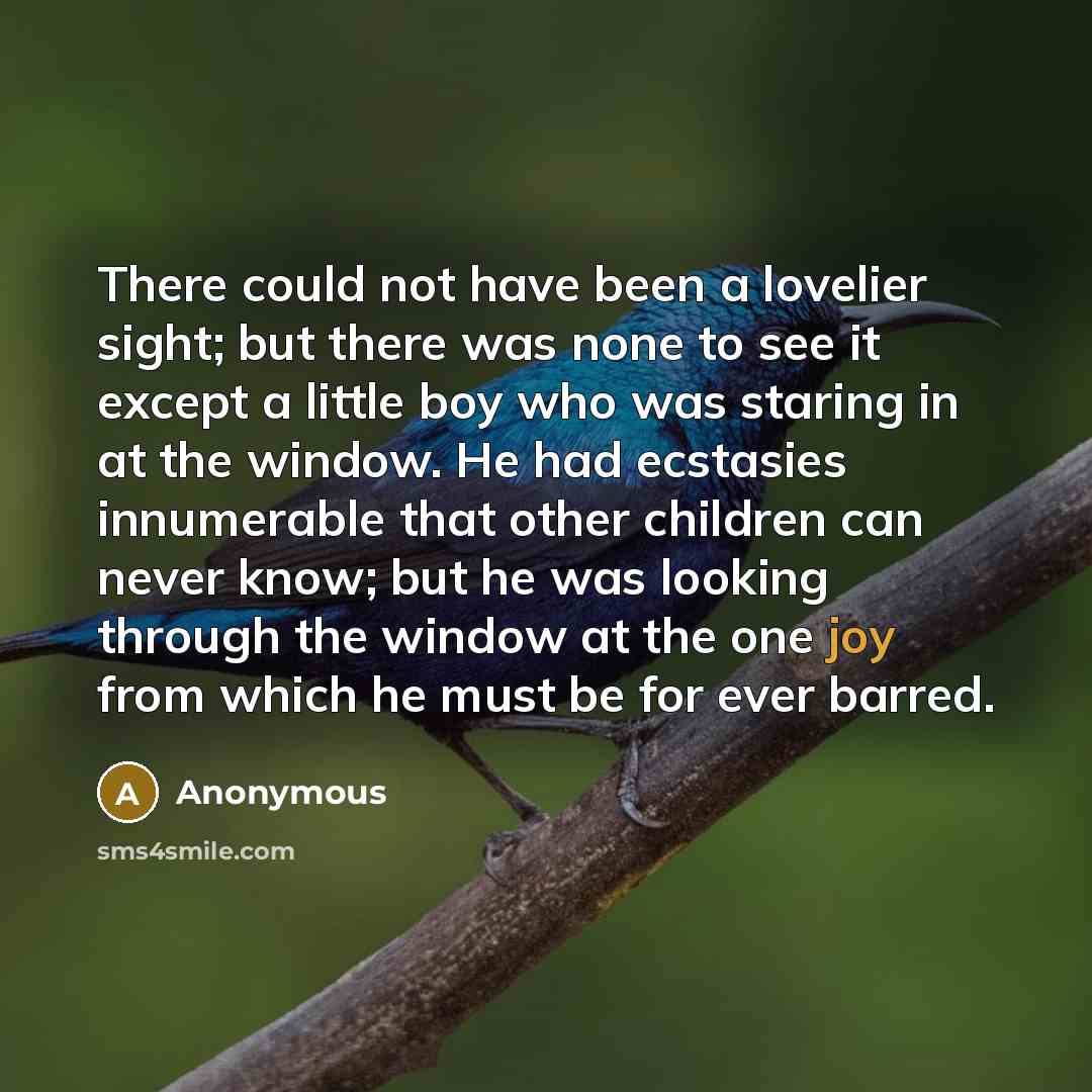 “There could not have been a lovelier sight; but there…” quote by Anonymous