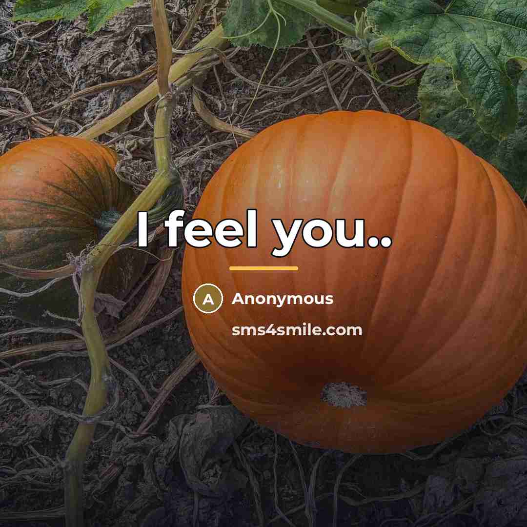 “I feel you..…” quote by Anonymous