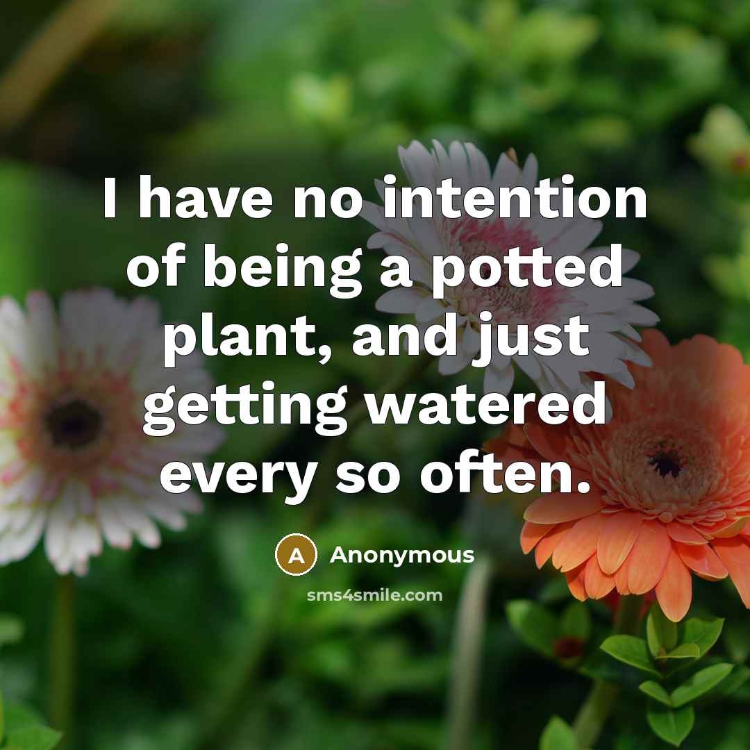 “I have no intention of being a potted plant, and…” quote by Anonymous