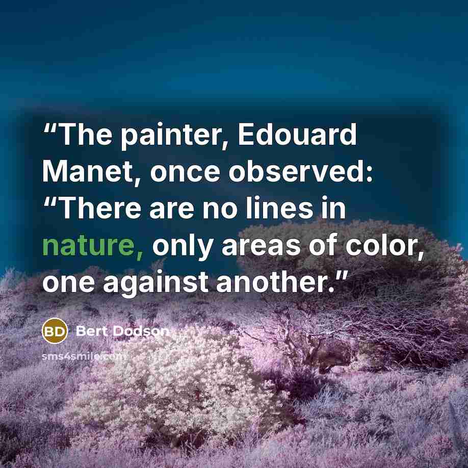 “The painter, Edouard Manet, once observed: “There are no lines in nature, only areas of color, one against another.” quote by Bert Dodson
