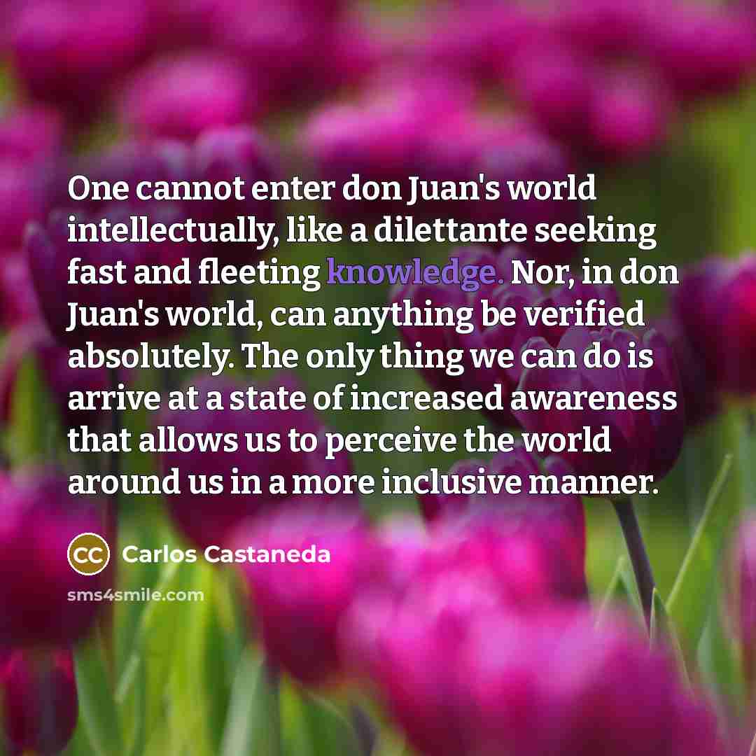 “One cannot enter don Juan's world intellectually, like a dilettante…” quote by Carlos Castaneda