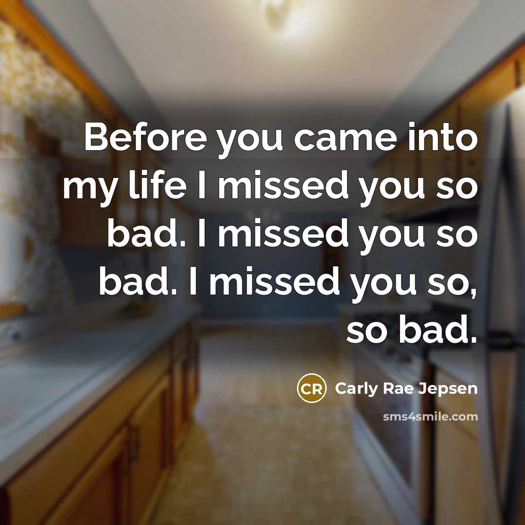 “Before you came into my life I missed you so…” quote by Carly Rae Jepsen