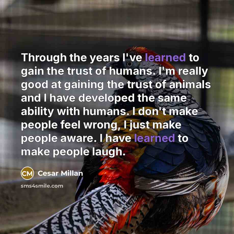 “Through the years I've learned to gain the trust of…” quote by Cesar Millan