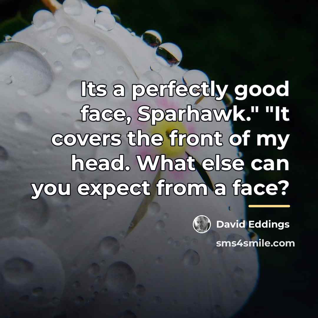 “Its a perfectly good face, Sparhawk." "It covers the front…” quote by David Eddings