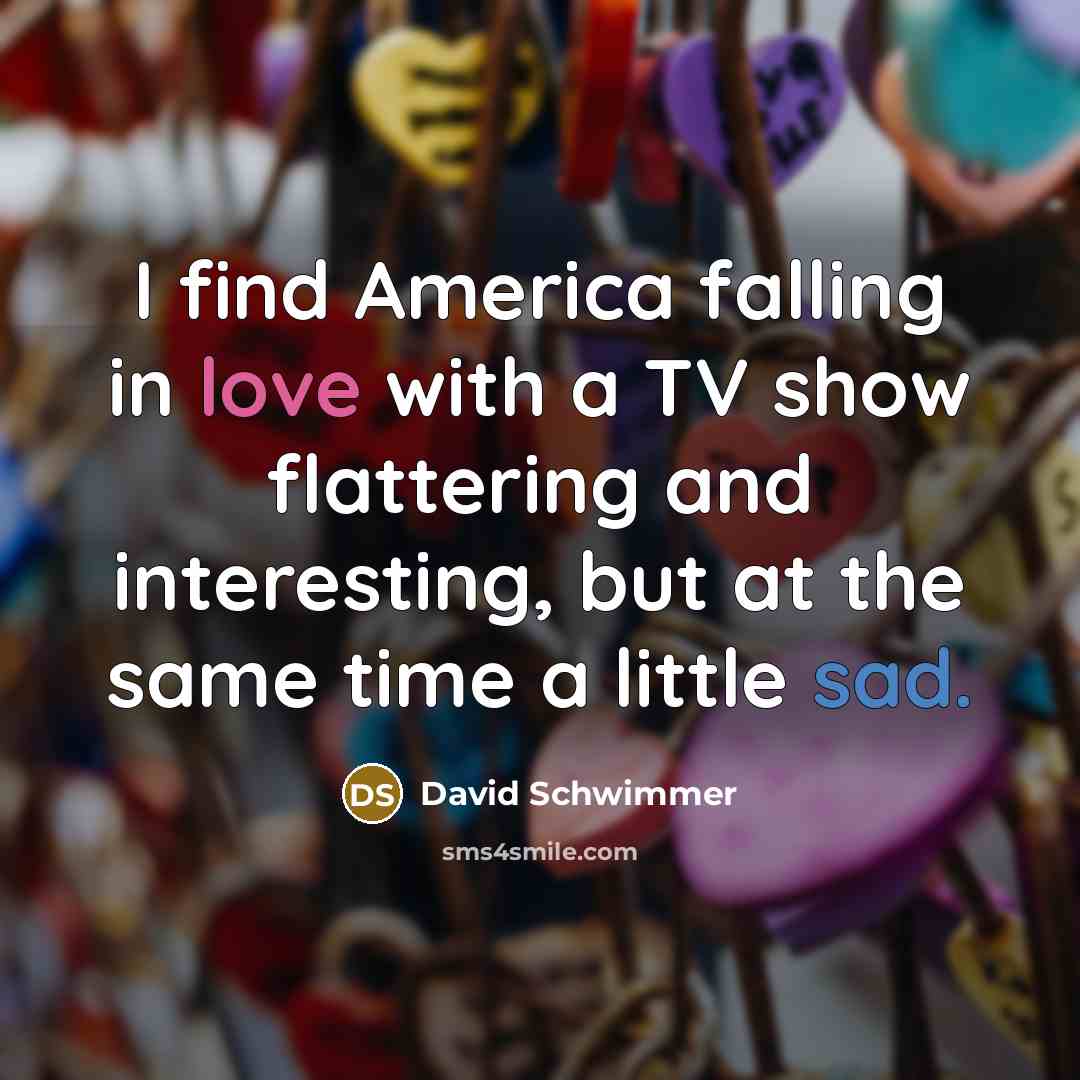 “I find America falling in love with a TV show…” quote by David Schwimmer