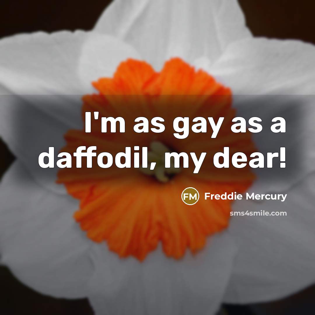 “I'm as gay as a daffodil, my dear!…” quote by Freddie Mercury