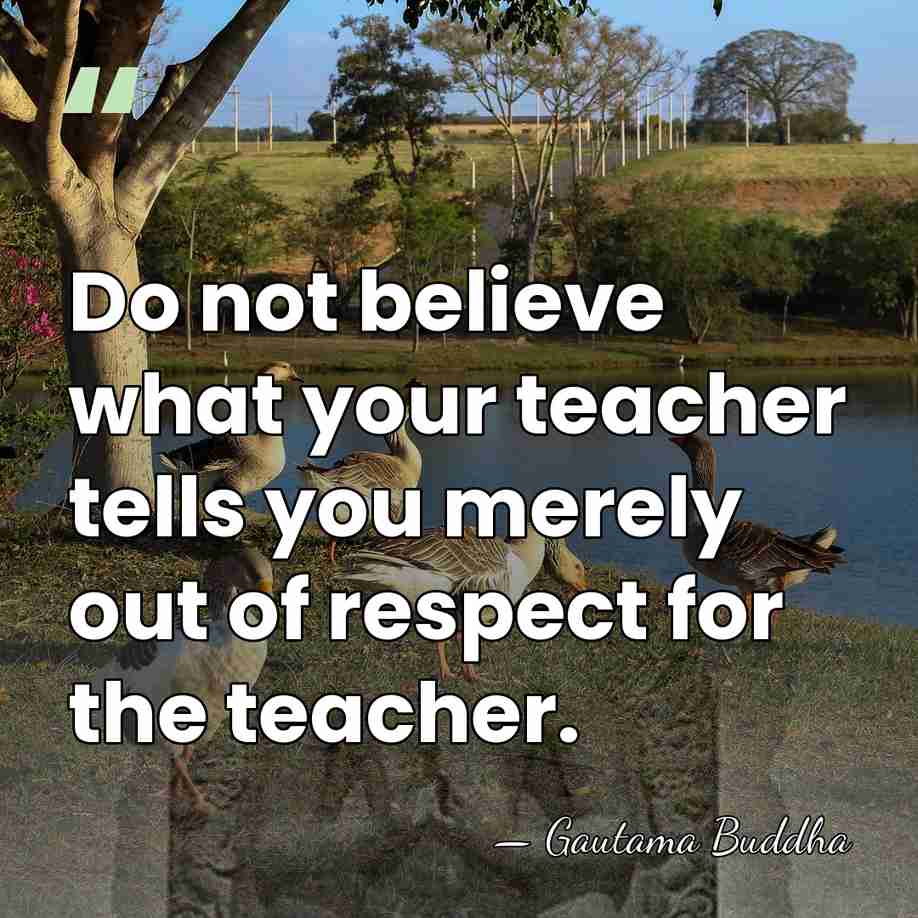 Do not believe what your teacher tells you merely out of respect&hellip; - Gautama Buddha