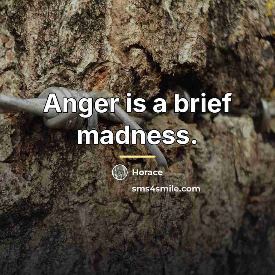 “Anger is a brief madness.…” quote by Horace
