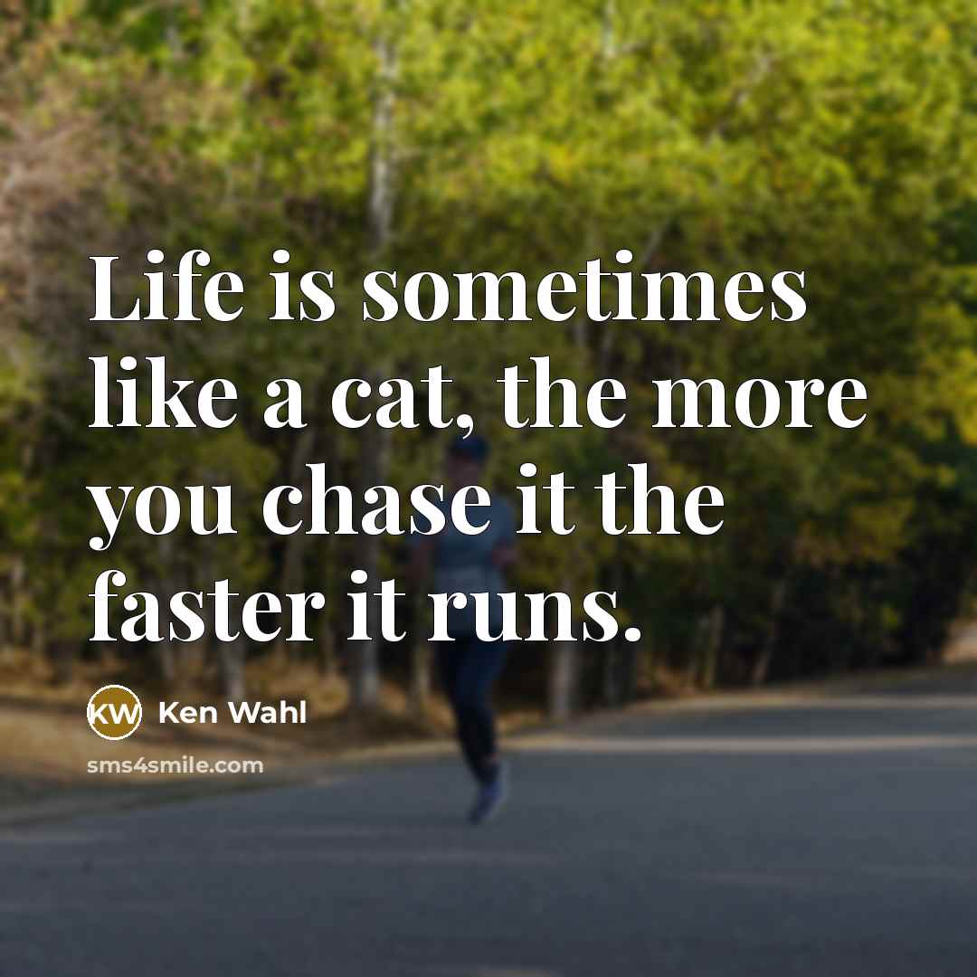 “Life is sometimes like a cat, the more you chase…” quote by Ken Wahl