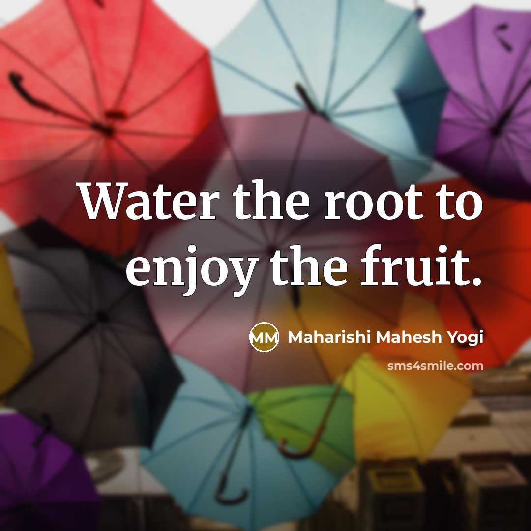 “Water the root to enjoy the fruit.…” quote by Maharishi Mahesh Yogi