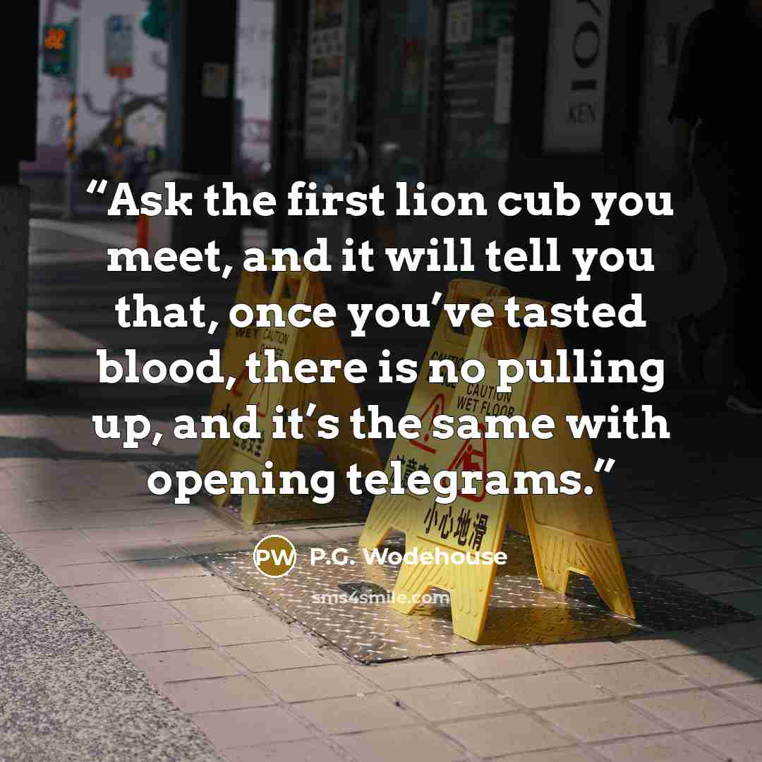 “Ask the first lion cub you meet, and it will tell you that, once you’ve tasted blood, there is no pulling up, and it’s the same with opening telegrams.” quote by P.G. Wodehouse
