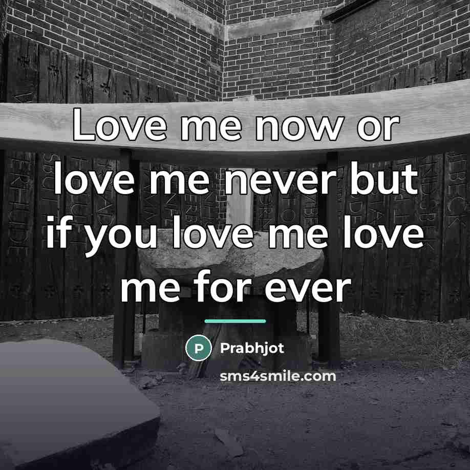 “Love me now or love me never but if you…” quote by Prabhjot