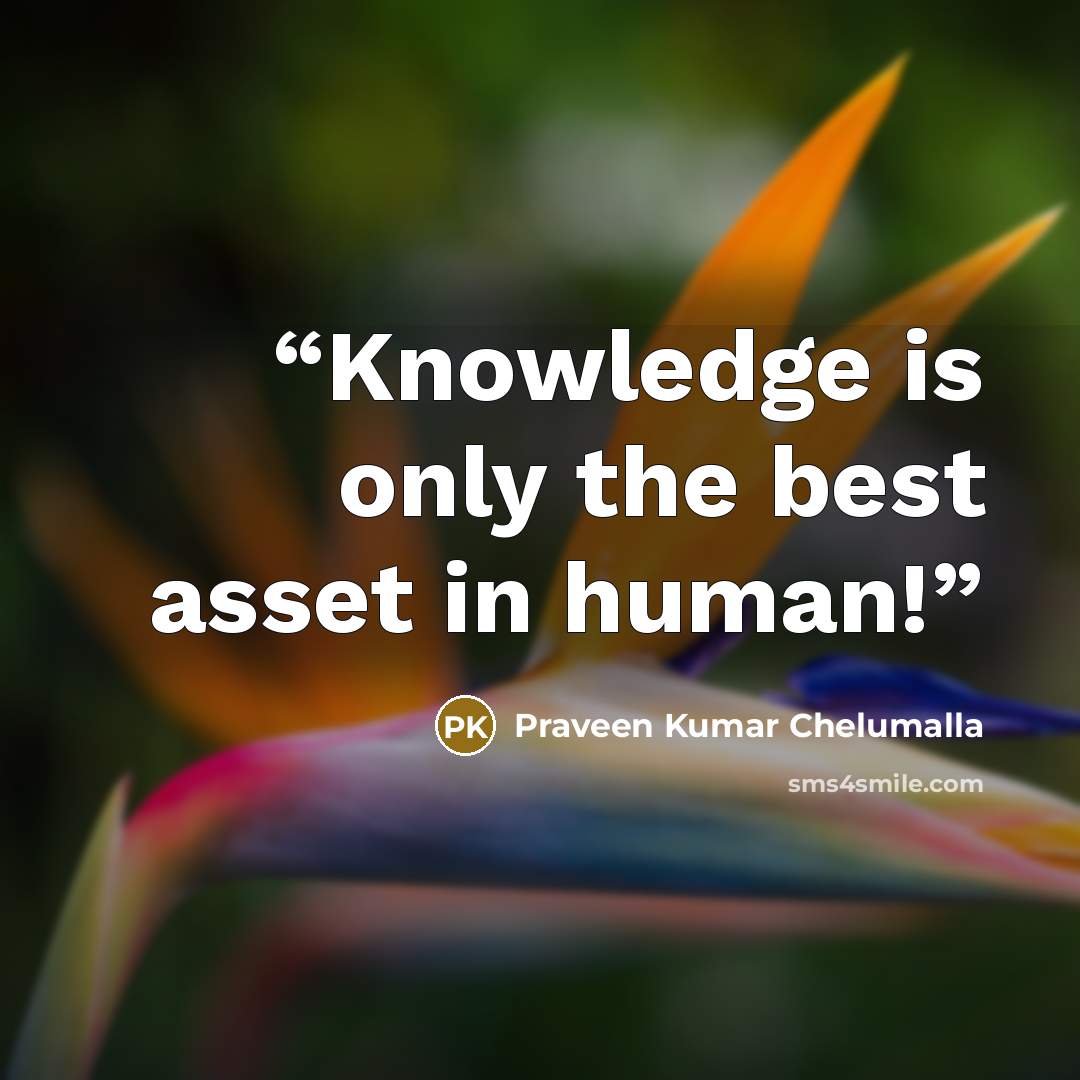 “Knowledge is only the best asset in human!” quote by Praveen Kumar Chelumalla