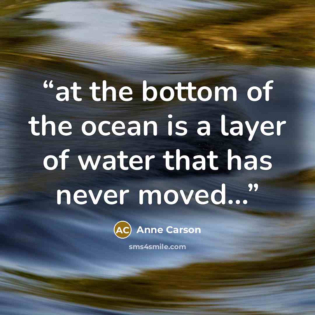 “at the bottom of the ocean is a layer of water that has never moved…” quote by Anne Carson
