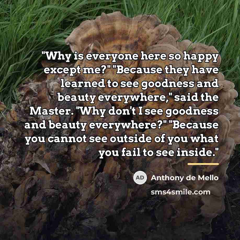 “"Why is everyone here so happy except me?" "Because they…” quote by Anthony de Mello
