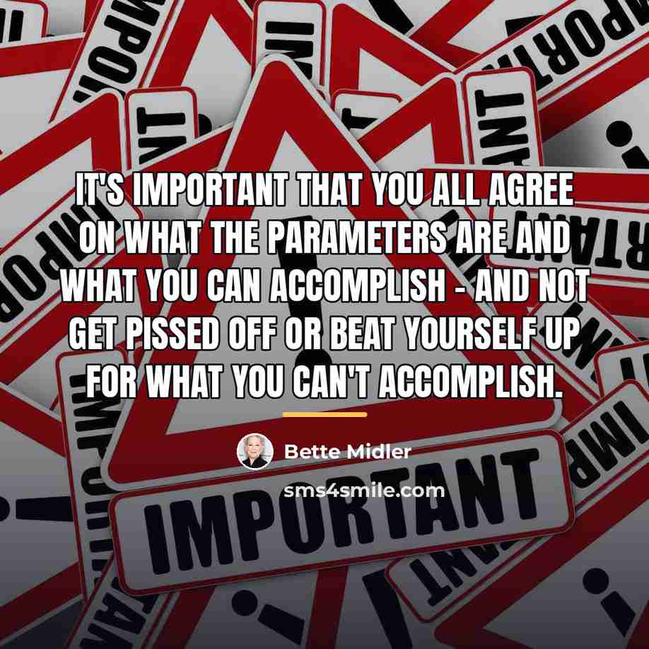 “It's important that you all agree on what the parameters…” quote by Bette Midler