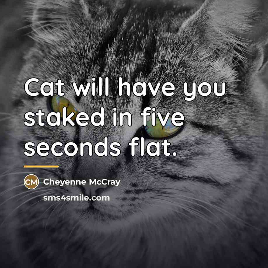 “Cat will have you staked in five seconds flat.…” quote by Cheyenne McCray
