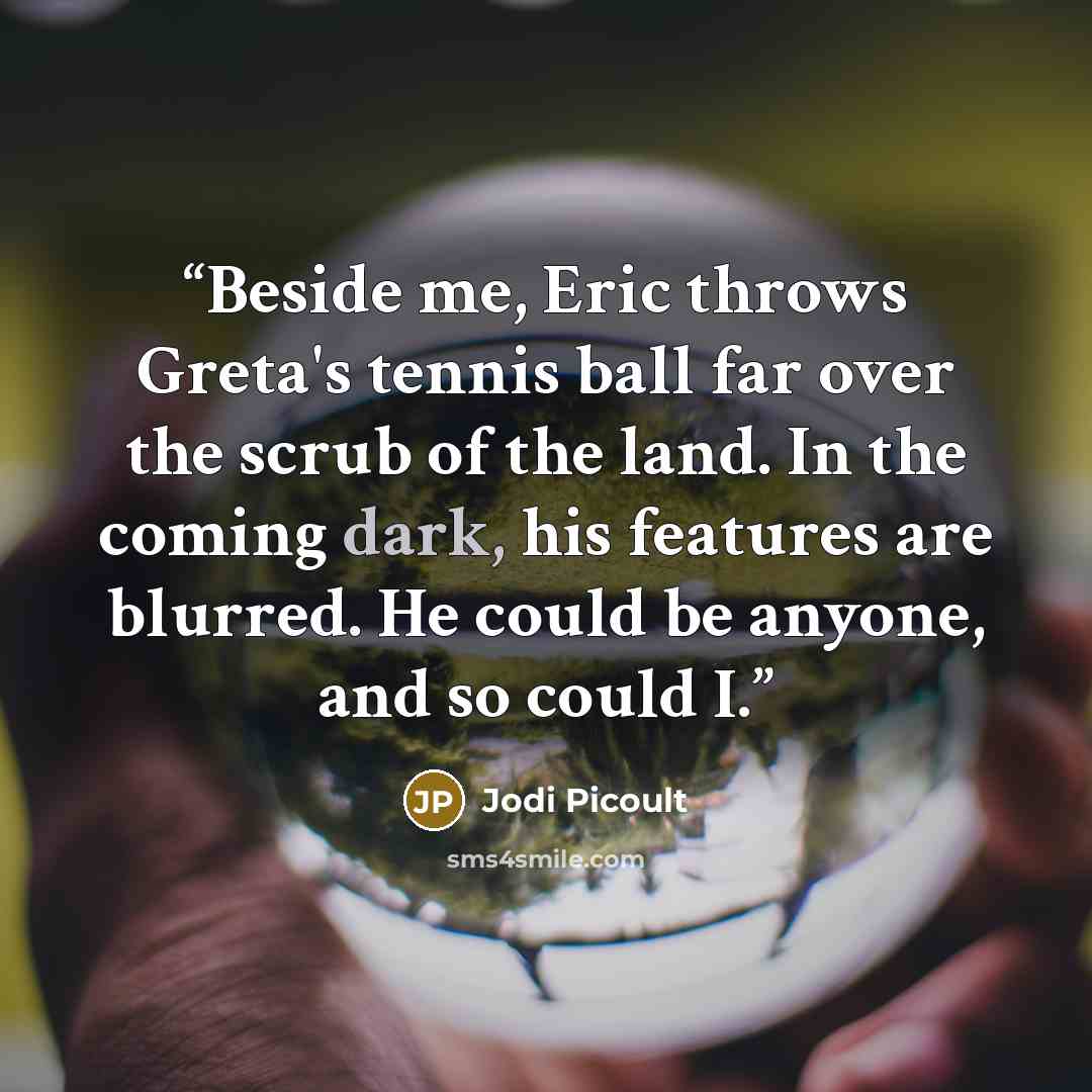 “Beside me, Eric throws Greta's tennis ball far over the scrub of the land. In the coming dark, his features are blurred. He could be anyone, and so could I.” quote by Jodi Picoult