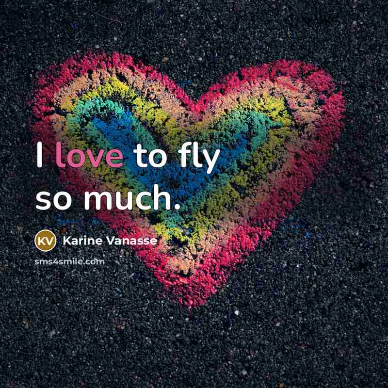“I love to fly so much.…” quote by Karine Vanasse