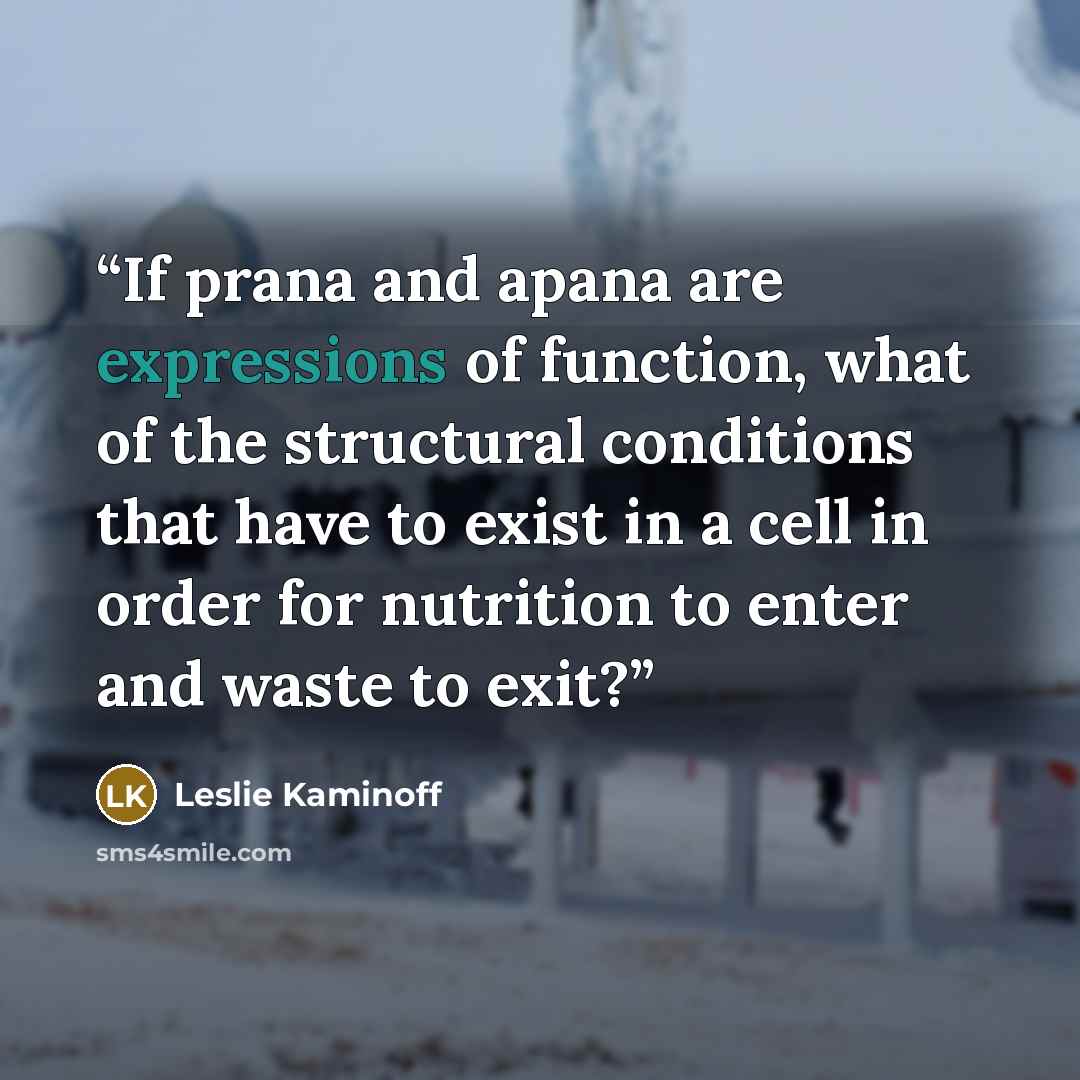 “If prana and apana are expressions of function, what of the structural conditions that have to exist in a cell in order for nutrition to enter and waste to exit?” quote by Leslie Kaminoff