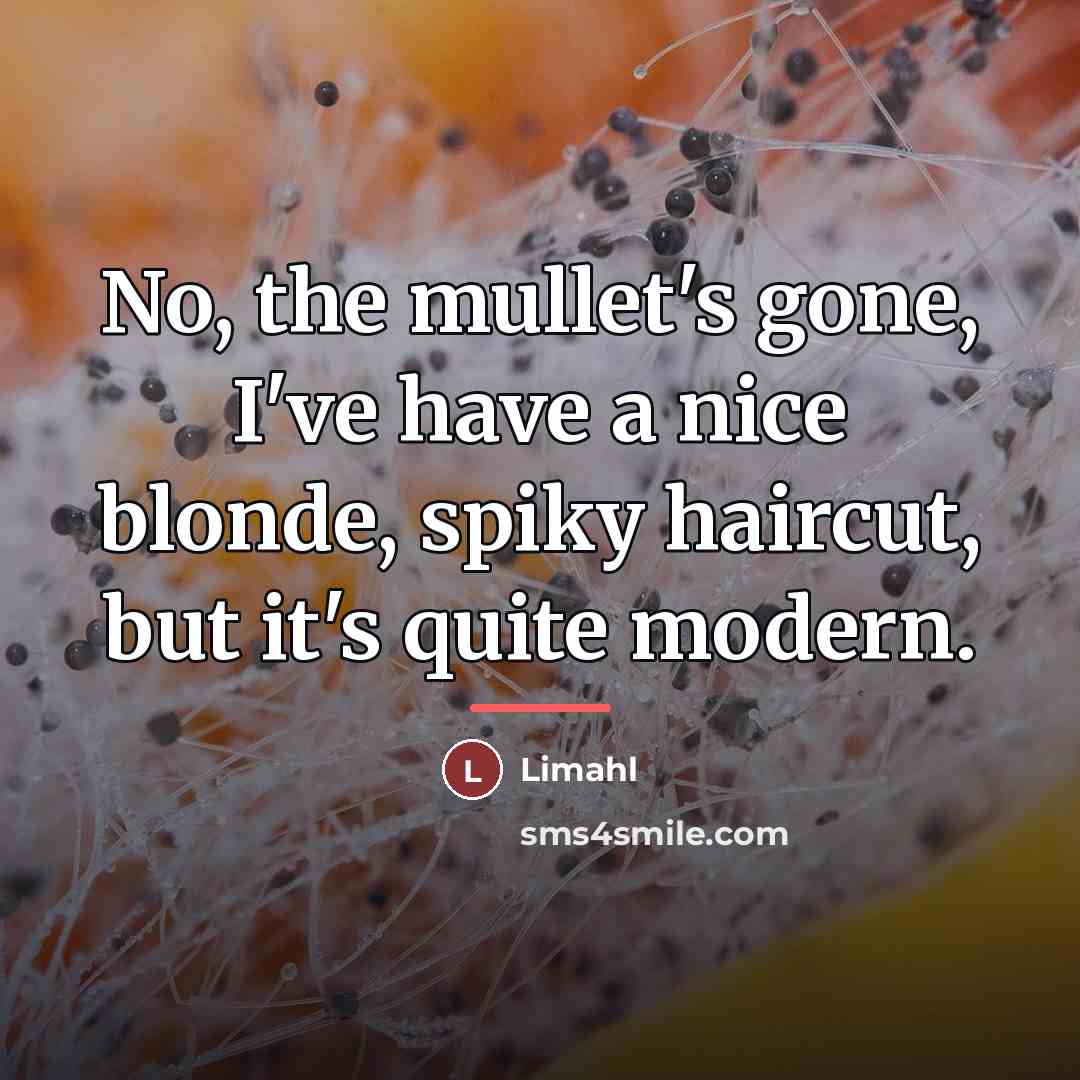 “No, the mullet's gone, I've have a nice blonde, spiky…” quote by Limahl