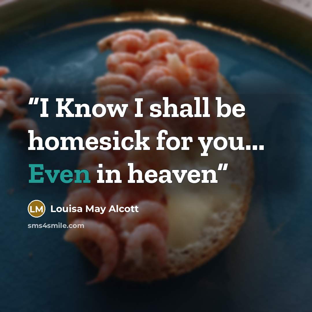 “I Know I shall be homesick for you... Even in heaven” quote by Louisa May Alcott