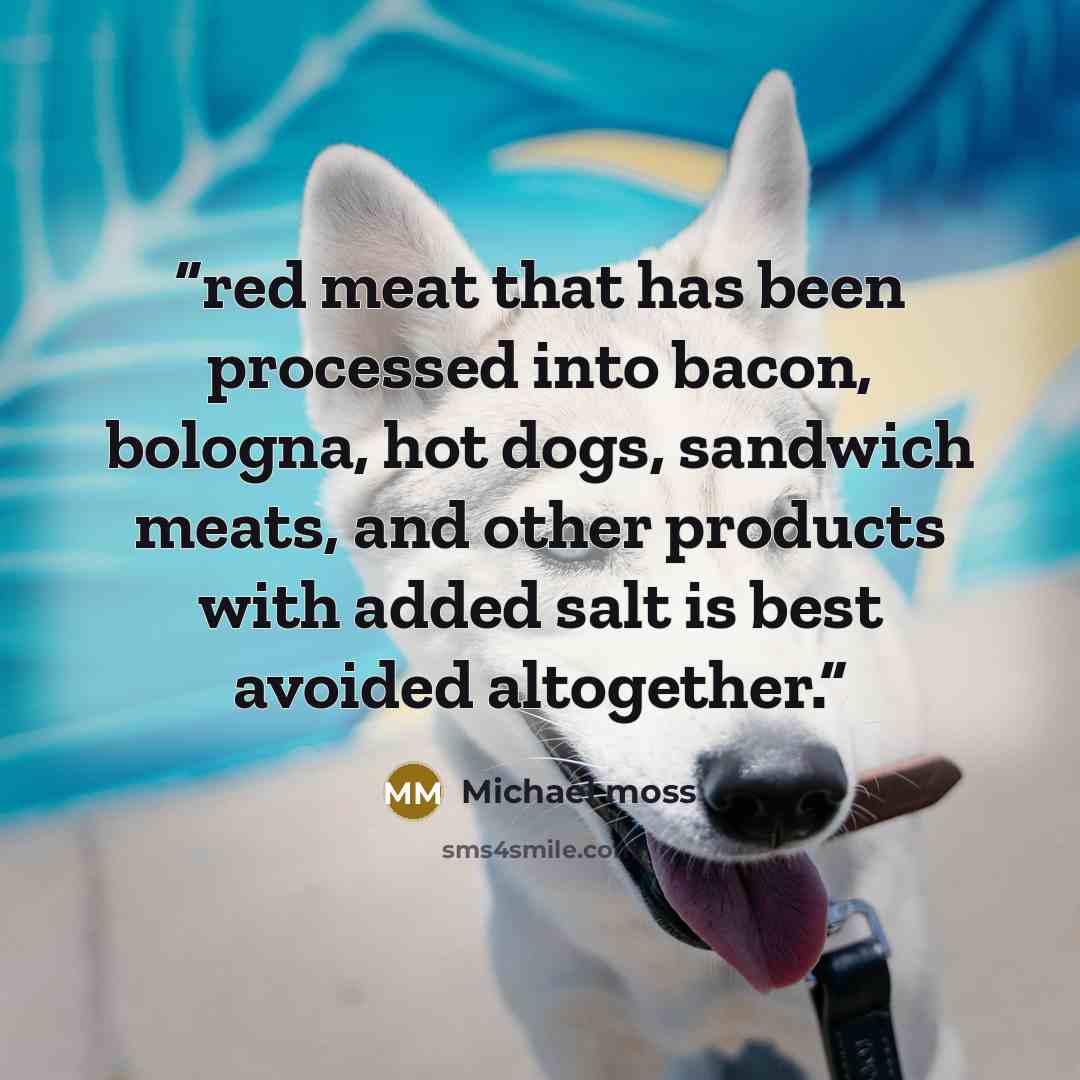 “red meat that has been processed into bacon, bologna, hot dogs, sandwich meats, and other products with added salt is best avoided altogether.” quote by Michael Moss