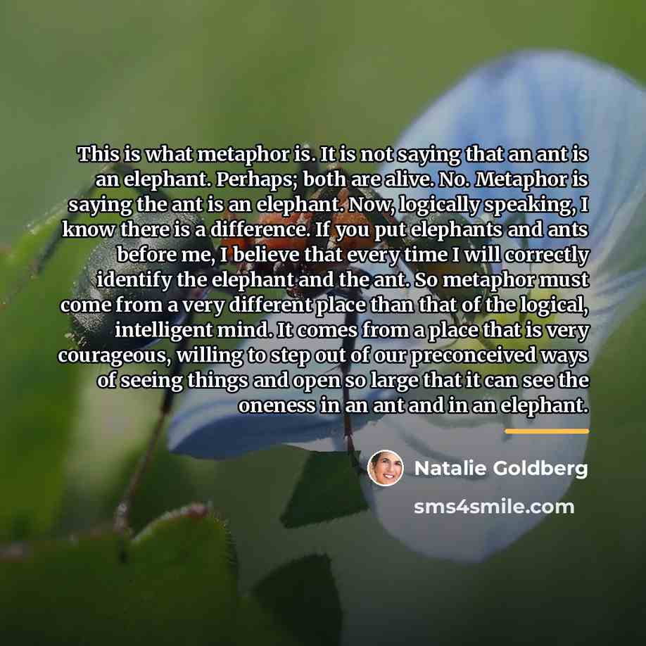 “This is what metaphor is. It is not saying that…” quote by Natalie Goldberg