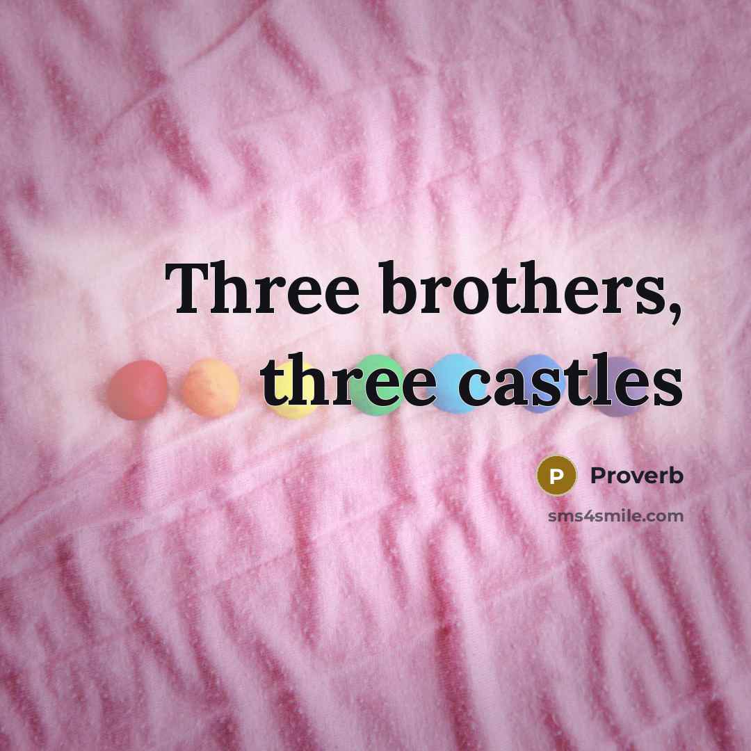 “Three brothers, three castles” quote by Proverb