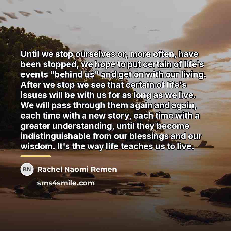 “Until we stop ourselves or, more often, have been stopped,…” quote by Rachel Naomi Remen