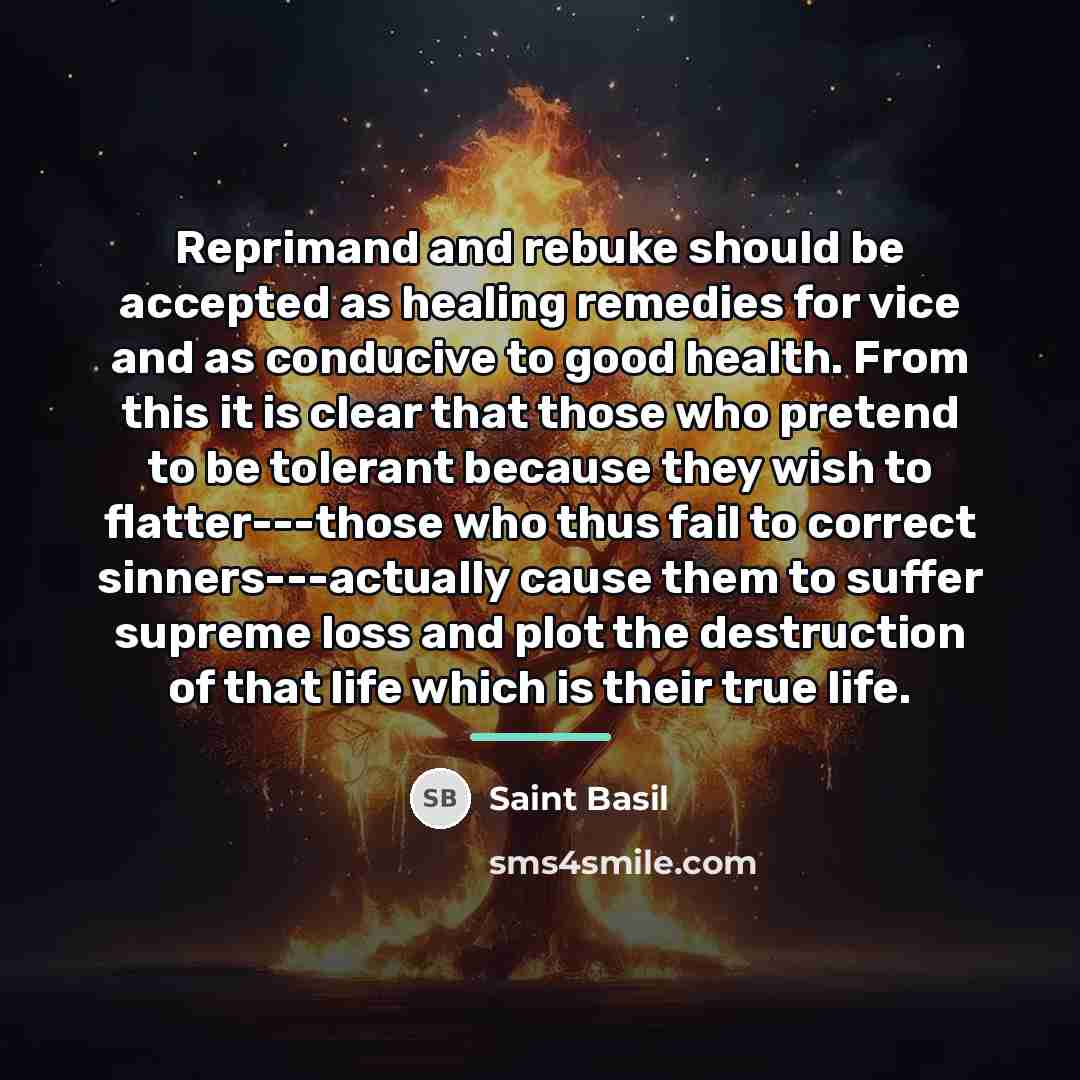 “Reprimand and rebuke should be accepted as healing remedies for…” quote by Saint Basil
