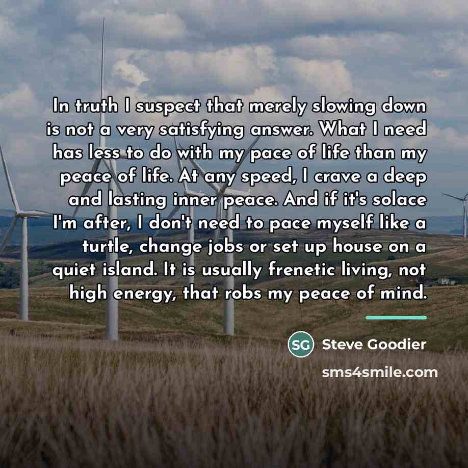 “In truth I suspect that merely slowing down is not…” quote by Steve Goodier