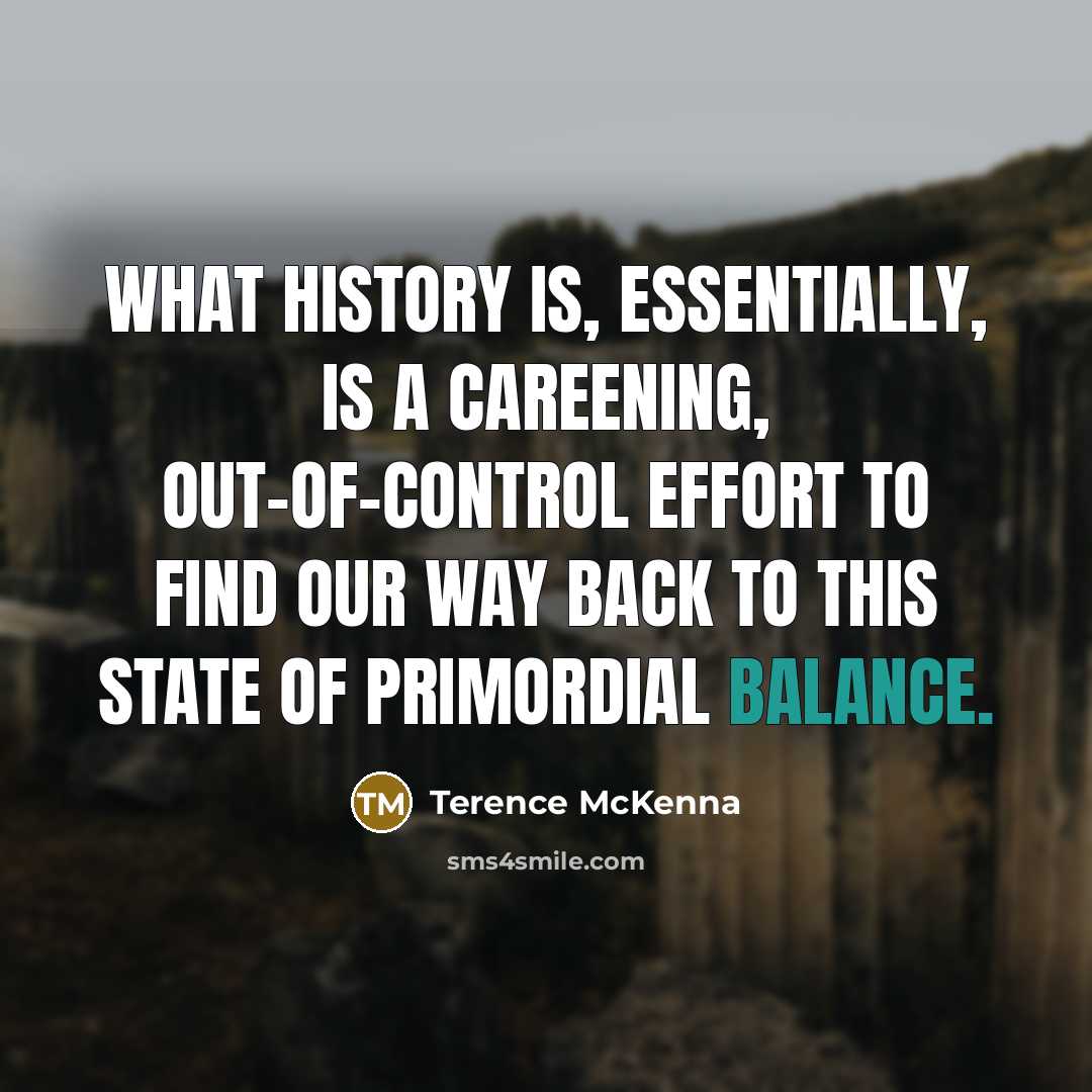 “What history is, essentially, is a careening, out-of-control effort to…” quote by Terence McKenna