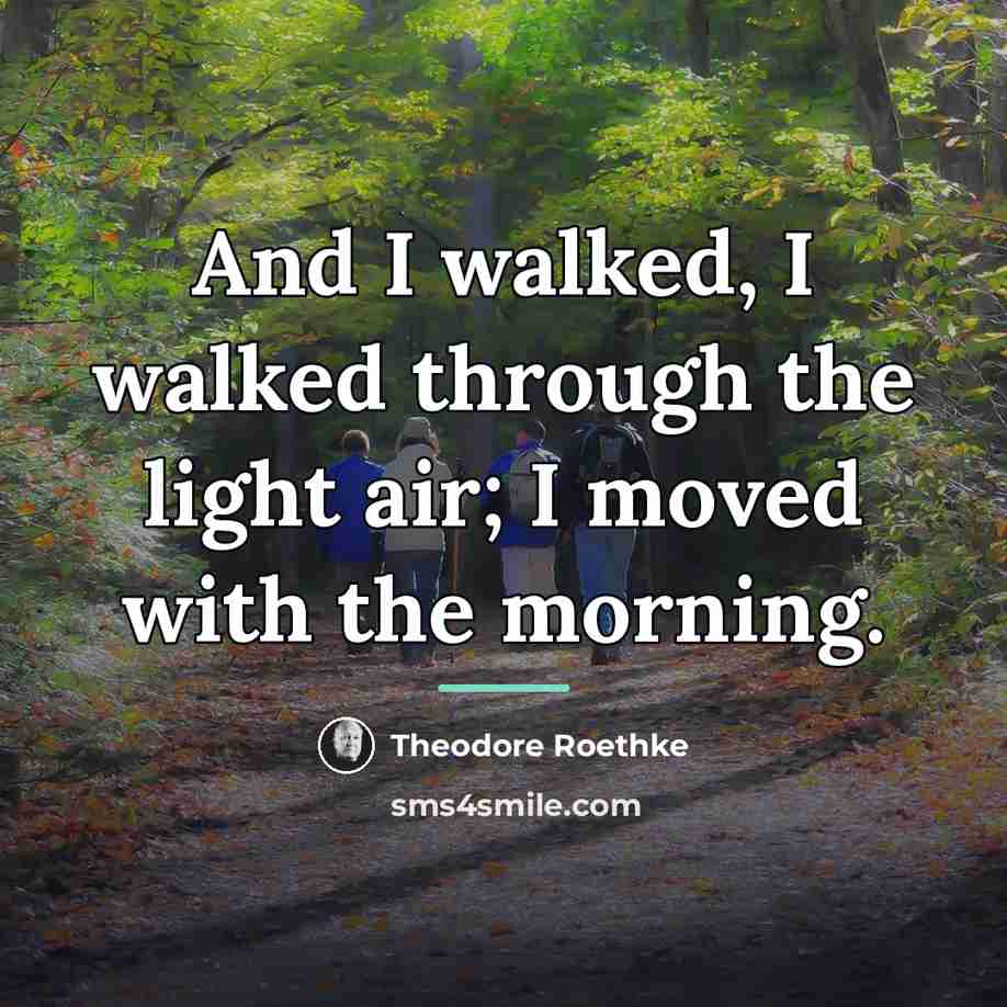 “And I walked, I walked through the light air; I…” quote by Theodore Roethke