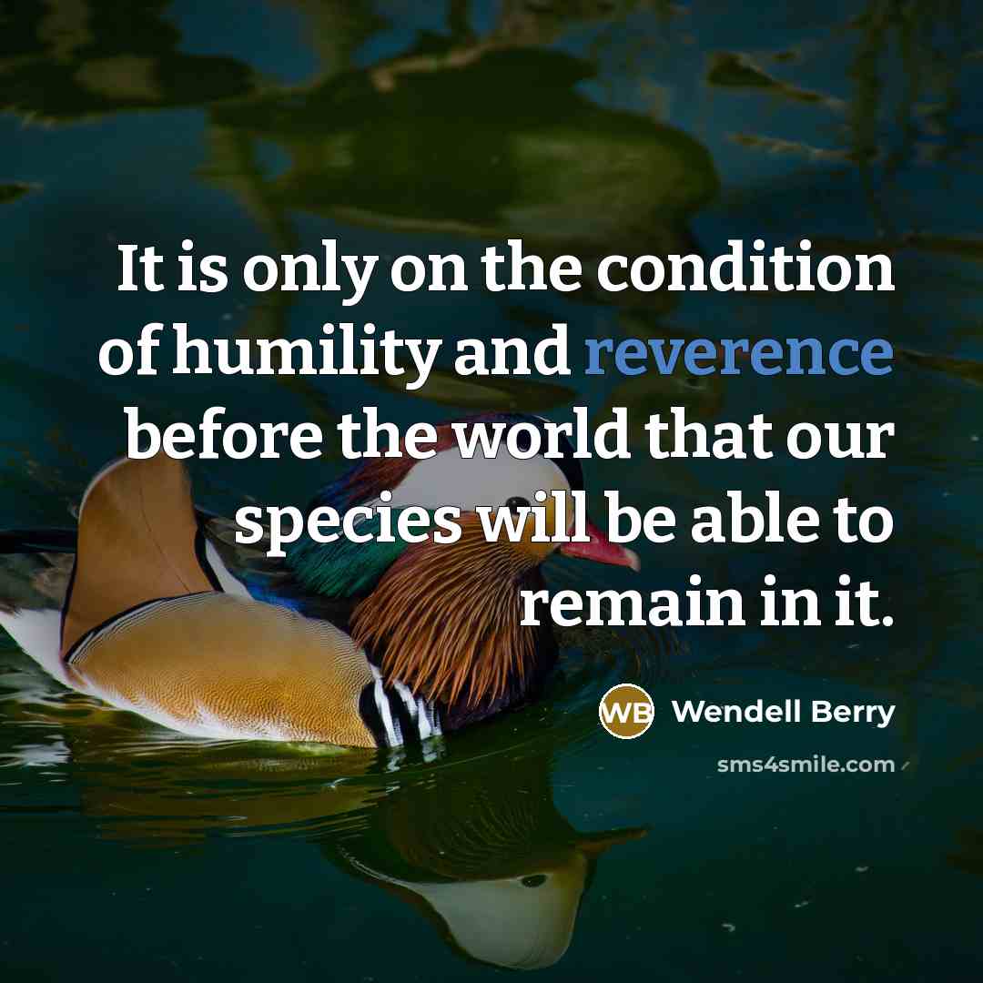 “It is only on the condition of humility and reverence…” quote by Wendell Berry