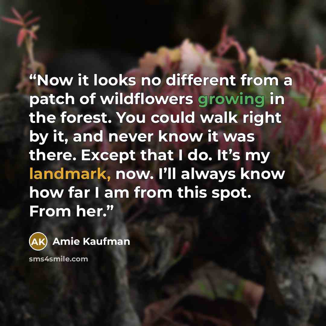 “Now it looks no different from a patch of wildflowers growing in the forest. You could walk right by it, and never know it was there. Except that I do. It’s my landmark, now. I’ll always know how far I am from this spot. From her.” quote by Amie Kaufman