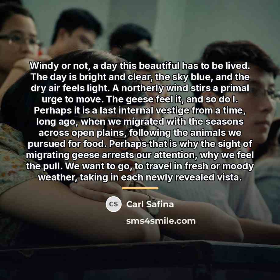 “Windy or not, a day this beautiful has to be…” quote by Carl Safina